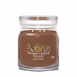 Yankee Candle Praline & Birch, Rond, Marron, Ambre, Cannelle, Clou de girofle, Eucalyptus, Jasmin, Muguet, Musc, Myrrhe, ...