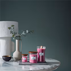 WoodWick Wild Berry & Beets Mini Jar bougie en cire Rond Rose 1 pièce(s)