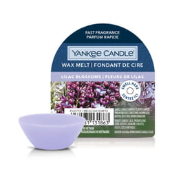 Yankee Candle 10.00664.0028 Fondant de cire aromatique