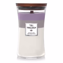 WoodWick Amethyst Sky Trilogy, Cylindre, Ambre, Jasmin, Lavande, Cuir, Bois de santal, Suédine, Vanille, Ylang-ylang, 1 pièce ...