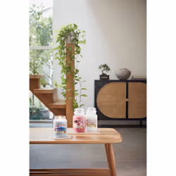 Yankee Candle Sweet Plum Sake bougie en cire Rond Saké Rose
