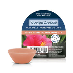 Yankee Candle 10.00664.0055 Fondant de cire aromatique