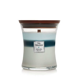 WoodWick Icy Woodland bougie en cire Autres Genévrier, Magnolia Bleu, Bleu clair, Blanc 1 pièce(s)