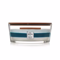 WoodWick Icy Woodland, Autres, Bleu, Bleu clair, Blanc, Genévrier, Magnolia, 1 pièce(s)