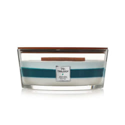 WoodWick Icy Woodland bougie en cire Autres Genévrier, Magnolia Bleu, Bleu clair, Blanc 1 pièce(s)