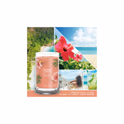 Yankee Candle Signature bougie en cire Cylindre Goyave, Menthe Orange 1 pièce(s)