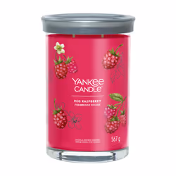 Yankee Candle 1724404E, Cylindre, Pourpre, 100 h, 1 pièce(s)