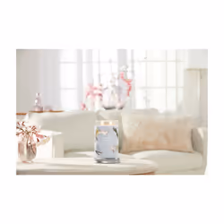 Yankee Candle Signature bougie en cire Cylindre Ambre, Bois de cachemire, Vanille Gris 1 pièce(s)