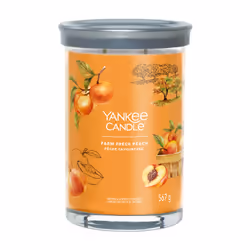 Yankee Candle Signature, Cylindre, Orange, Abricot, Pêche, Vanille, 100 h, 1 pièce(s)