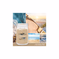 Yankee Candle Signature bougie en cire Cylindre Ambre, Cardamone, Bois de santal Marron 1 pièce(s)