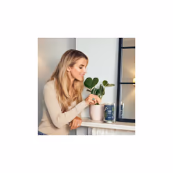 Yankee Candle Signature bougie en cire Cylindre Ambre, Pamplemousse, Mandarin Bleu 1 pièce(s)