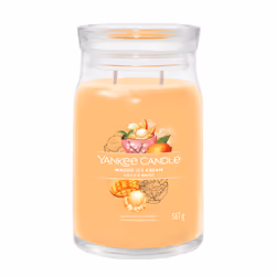 Yankee Candle Signature, Cylindre, Orange, Mango, Vanille, 90 h, 1 pièce(s)