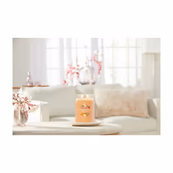 Yankee Candle Signature bougie en cire Cylindre Mango, Vanille Orange 1 pièce(s)