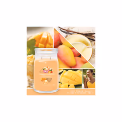 Yankee Candle Signature bougie en cire Cylindre Mango, Vanille Orange 1 pièce(s)