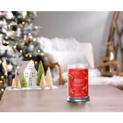 Yankee Candle 1630043E bougie en cire Cylindre Cannelle, Clou de girofle Rouge 1 pièce(s)