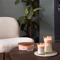 WoodWick Blooming Orchard Trilogy Ellipse bougie en cire Multicolore 1 pièce(s)