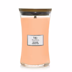 Yankee Candle YUZU BLOOMS, Autres, Orange, Fleur de citron, Pivoine, Mandarine, 120 h, 1 pièce(s)