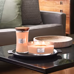 Yankee Candle YUZU BLOOMS bougie en cire Autres Fleur de citron, Pivoine, Mandarine Orange 1 pièce(s)