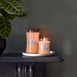 Yankee Candle YUZU BLOOMS bougie en cire Autres Fleur de citron, Pivoine, Mandarine Orange 1 pièce(s)