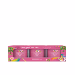Yankee Candle Art In The Park, Cylindre, Rose, Pomme, Floral, 10 h, 3 pièce(s)