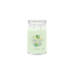 Yankee Candle Cucumber Mint Cooler bougie en cire Cylindre Citron Vert 1 pièce(s)