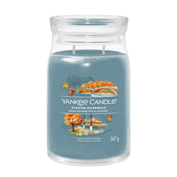 Yankee Candle 1743371E bougie en cire Cylindre Cardamone, Oud, Vanille Bleu 1 pièce(s)