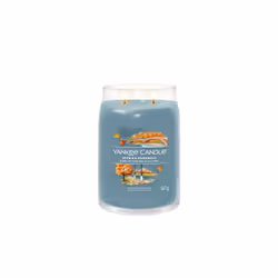 Yankee Candle 1743371E bougie en cire Cylindre Cardamone, Oud, Vanille Bleu 1 pièce(s)