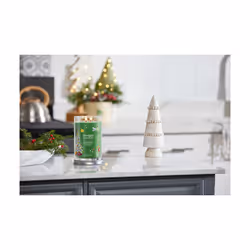 Yankee Candle 1743350E bougie en cire Rond Vert 1 pièce(s)