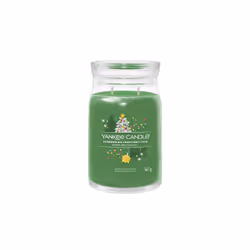 Yankee Candle 1743380E, Cylindre, Vert, Fir balsam, Dewy Greens, Épice, 90 h, 1 pièce(s)