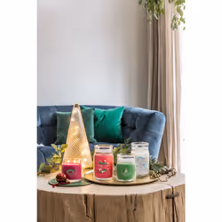 Yankee Candle Sparkling Winterberry bougie en cire Rond Rouge 1 pièce(s)