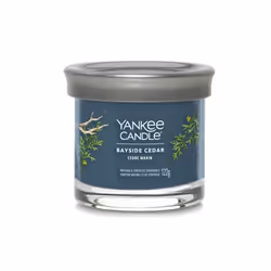 Yankee Candle 1744755E, Cylindre, Bleu, CEDAR, 30 h, 1 pièce(s)