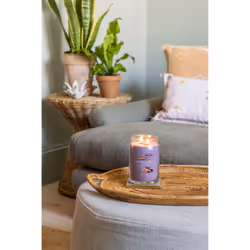 Yankee Candle Stargazing bougie en cire Cylindre Violet 1 pièce(s)