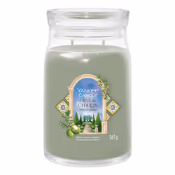 Yankee Candle Olive & Cypress, Rond, Vert, Transparent, Cypress, Olive, 1 pièce(s)