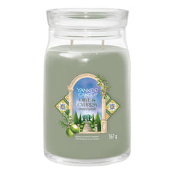 Yankee Candle Olive & Cypress bougie en cire Rond Cypress, Olive Vert, Transparent 1 pièce