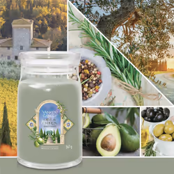 Yankee Candle Olive & Cypress bougie en cire Rond Cypress, Olive Vert, Transparent 1 pièce