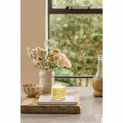 Yankee Candle Lemon Gelato bougie en cire Rond Citron Transparent, Jaune 1 pièce(s)