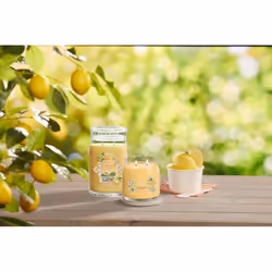 Yankee Candle Lemon Gelato bougie en cire Rond Citron Transparent, Jaune 1 pièce(s) - Vue supplémentaire 4