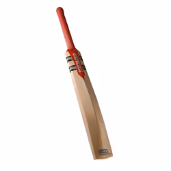 Batte de cricket Gray-Nicolls Technique