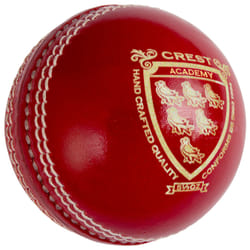 Balle de cricket Académie Gray-Nicolls Crest
