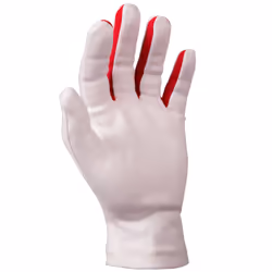 Gray Nicolls 5208940 gant de sport