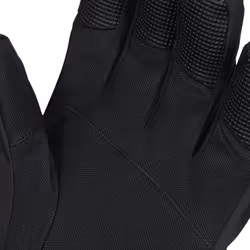 Gants de ski Trespass Ergon II