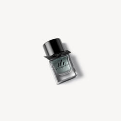 Burberry Mr. 50ml Hommes
