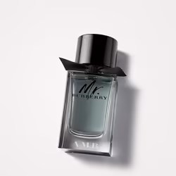 Burberry Mr., Hommes, 100 ml, Pamplemousse, Guaïac, Vétiver, Spray, France