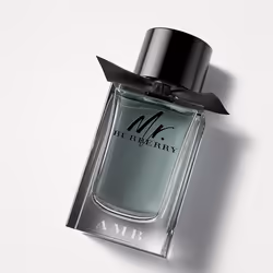 Burberry Mr., Hommes, 150 ml, Pamplemousse, Guaïac, Vétiver, Spray, France