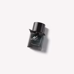 Burberry Mr