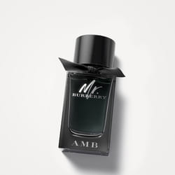 Burberry Mr. 100ml Hommes