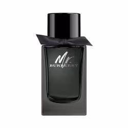 Burberry Mr., Hommes, Été, 150 ml, Flacon non réutilisable, Cannelle, Patchouli, Estragon, Bois, Ambre, Vétiver