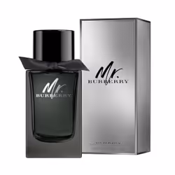 Burberry Mr. 150ml Hommes