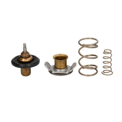 Thermostat d'eau BLUE PRINT ADJ139204