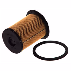 Filtre à carburant DELPHI HDF920